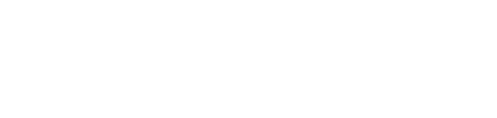 PlayChamp Logo